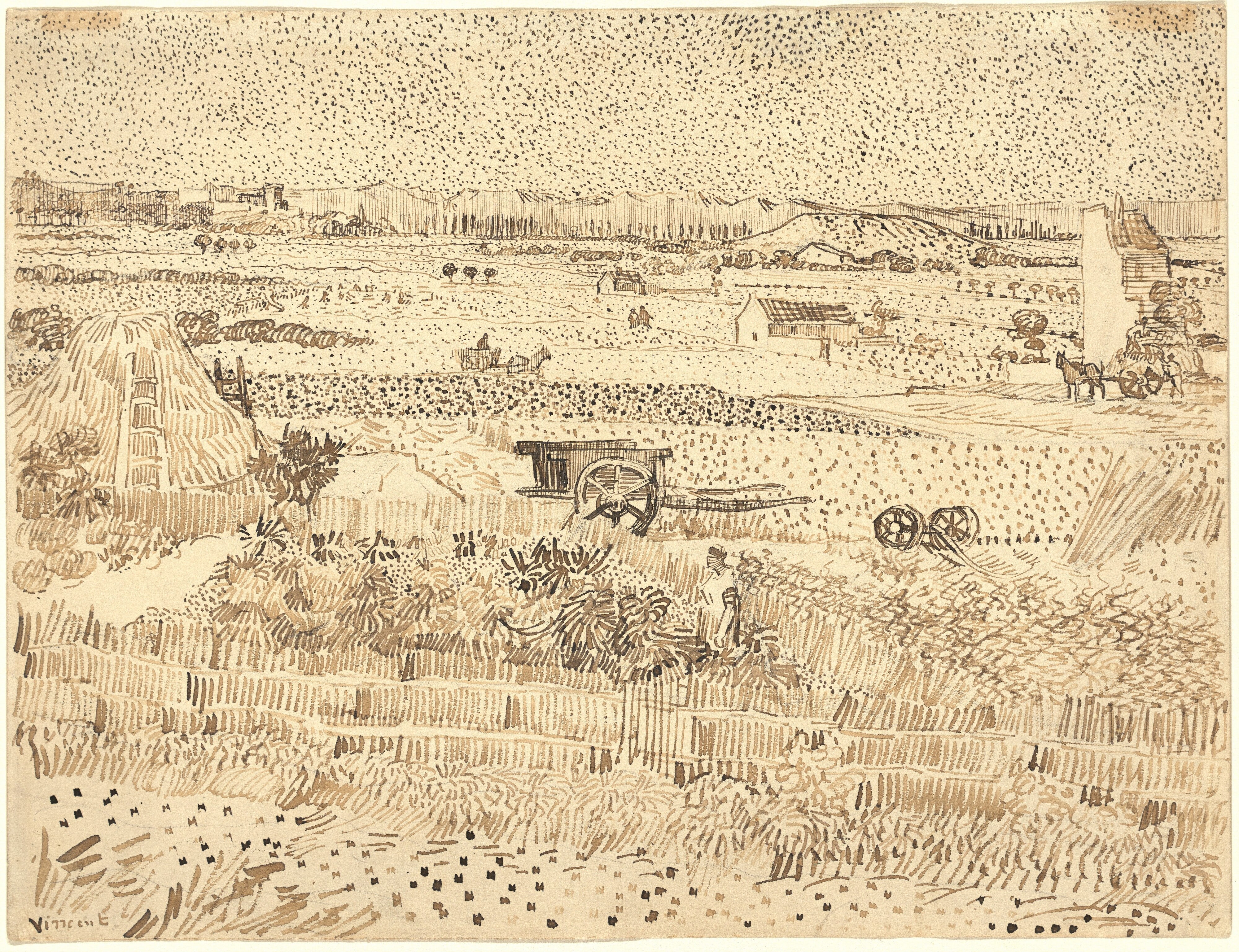 Harvest--The Plain of La Crau