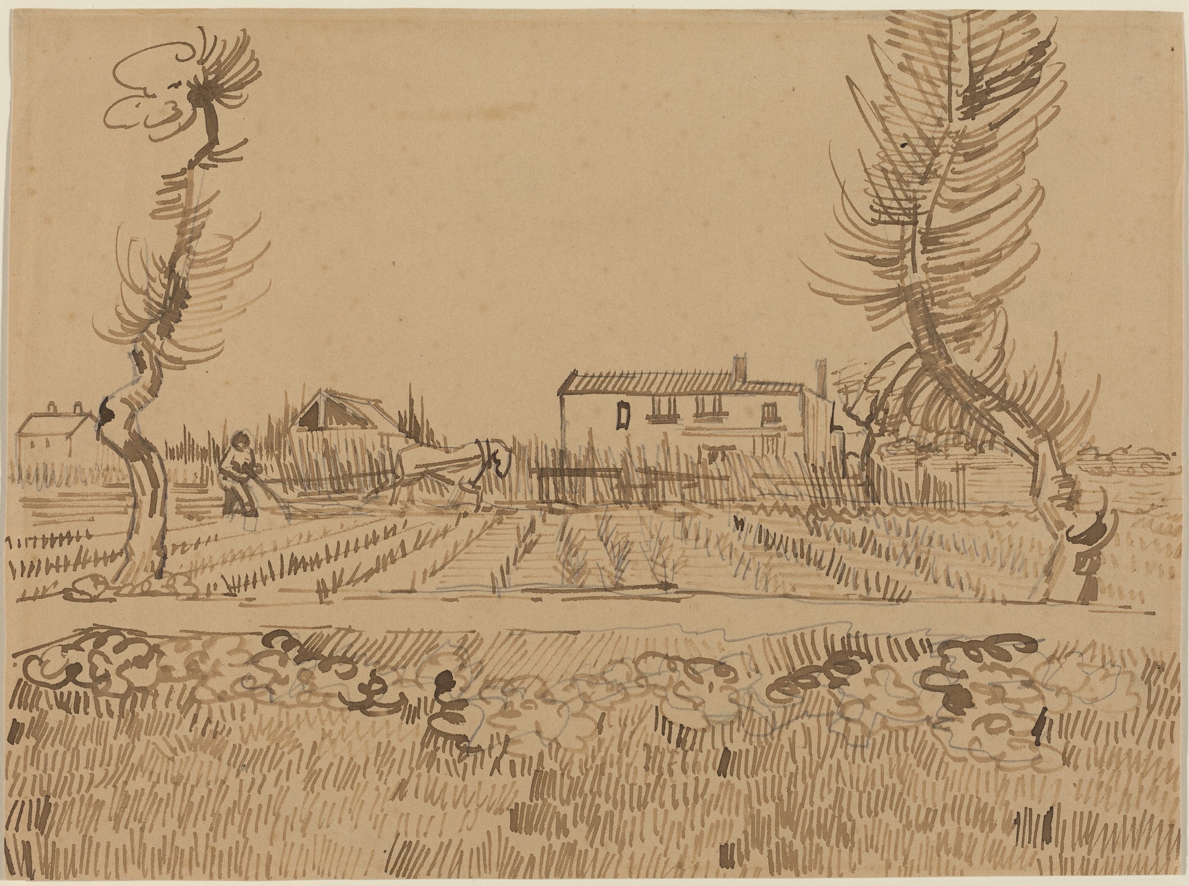 Ploughman in the Fields near Arles
