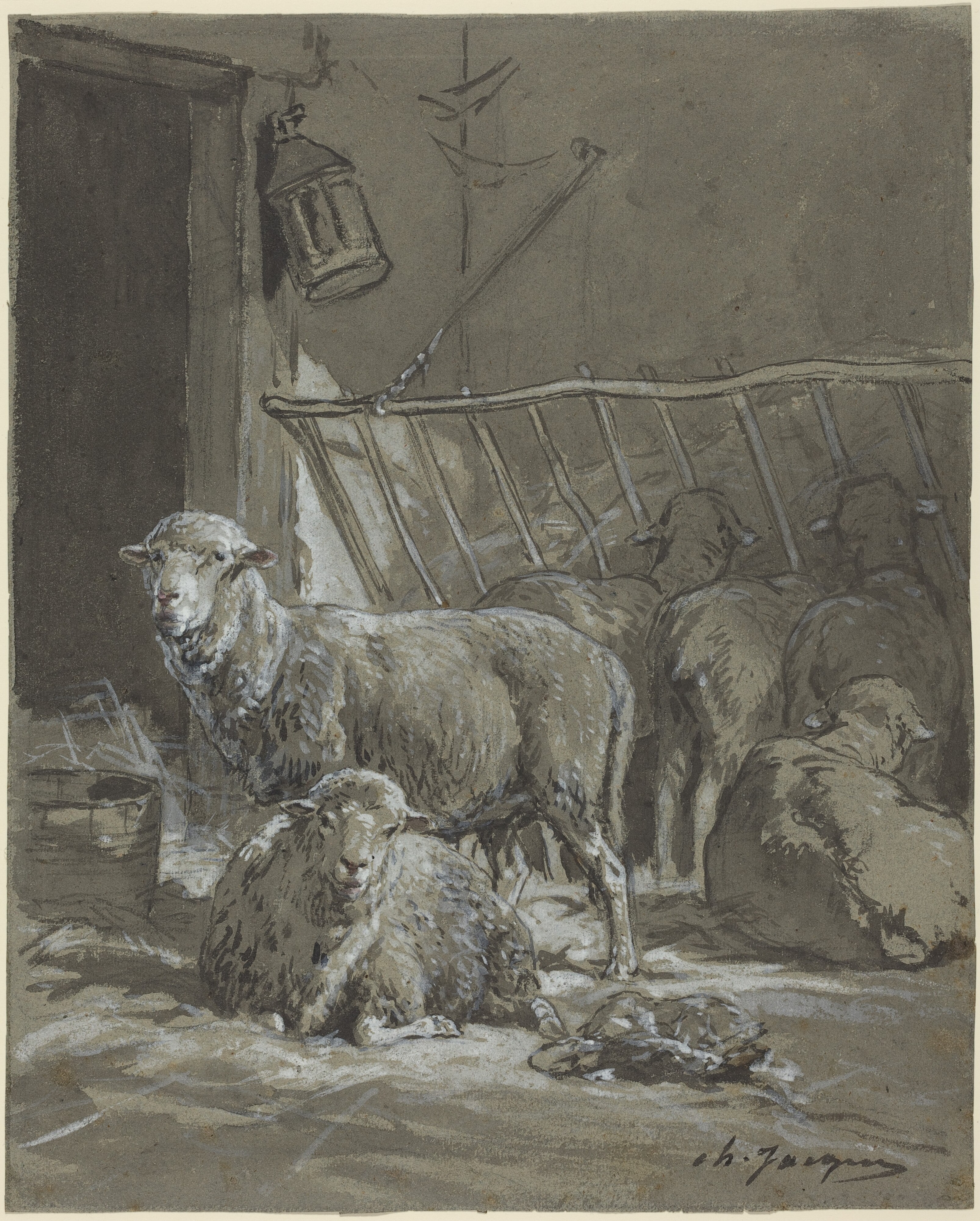 Sheep in a Manger