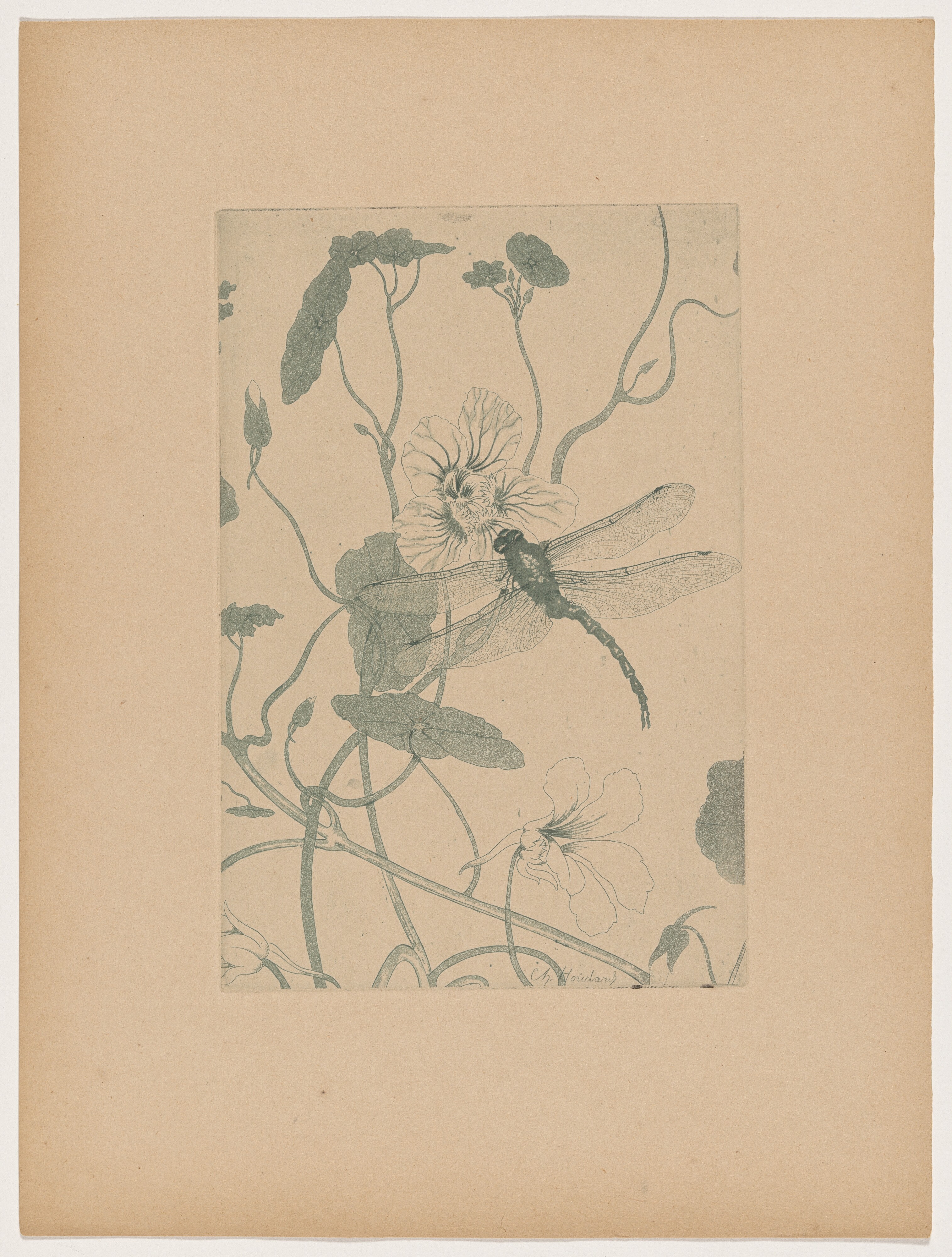Fleurs (Flowers)