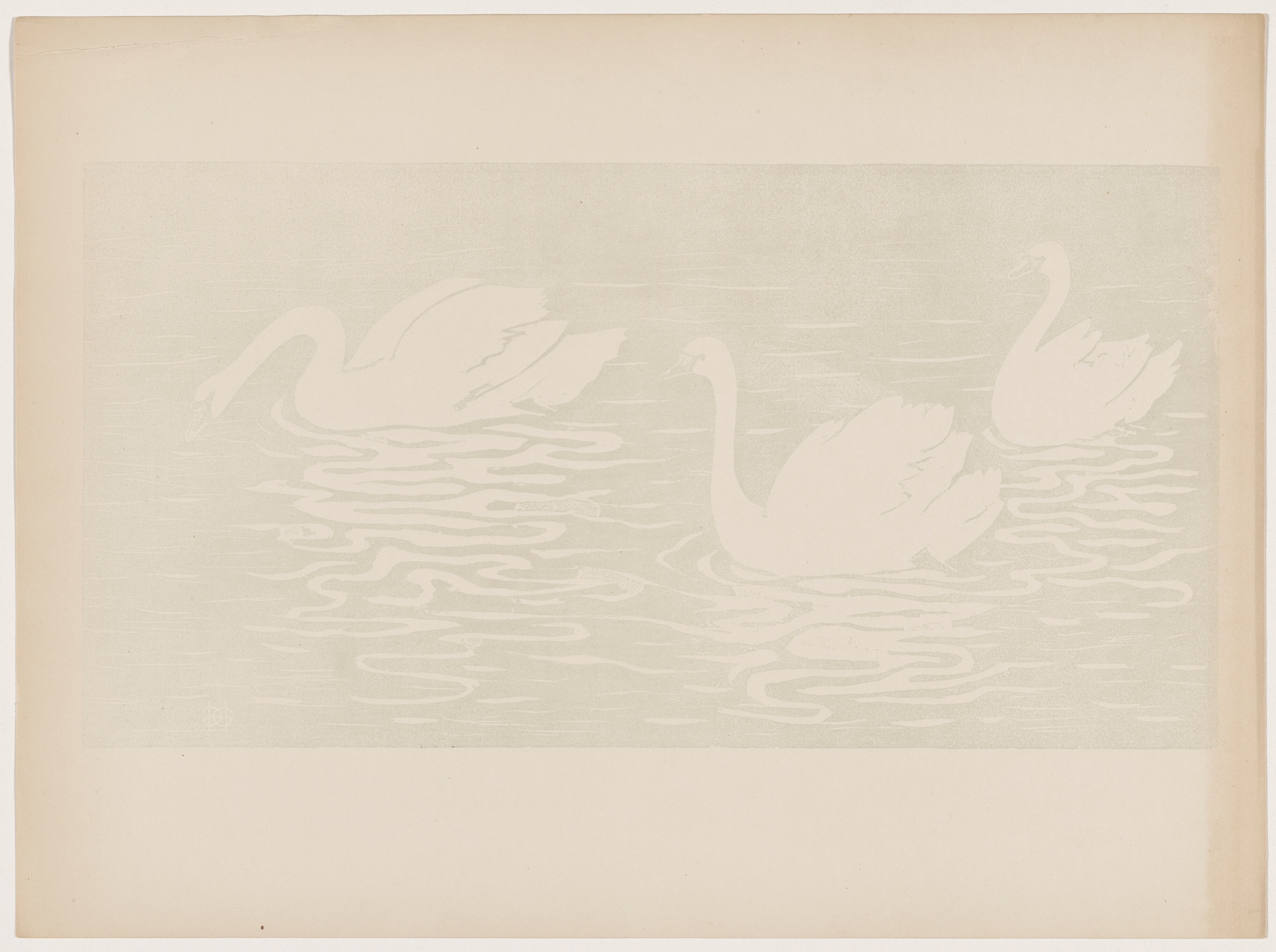 Les cygnes