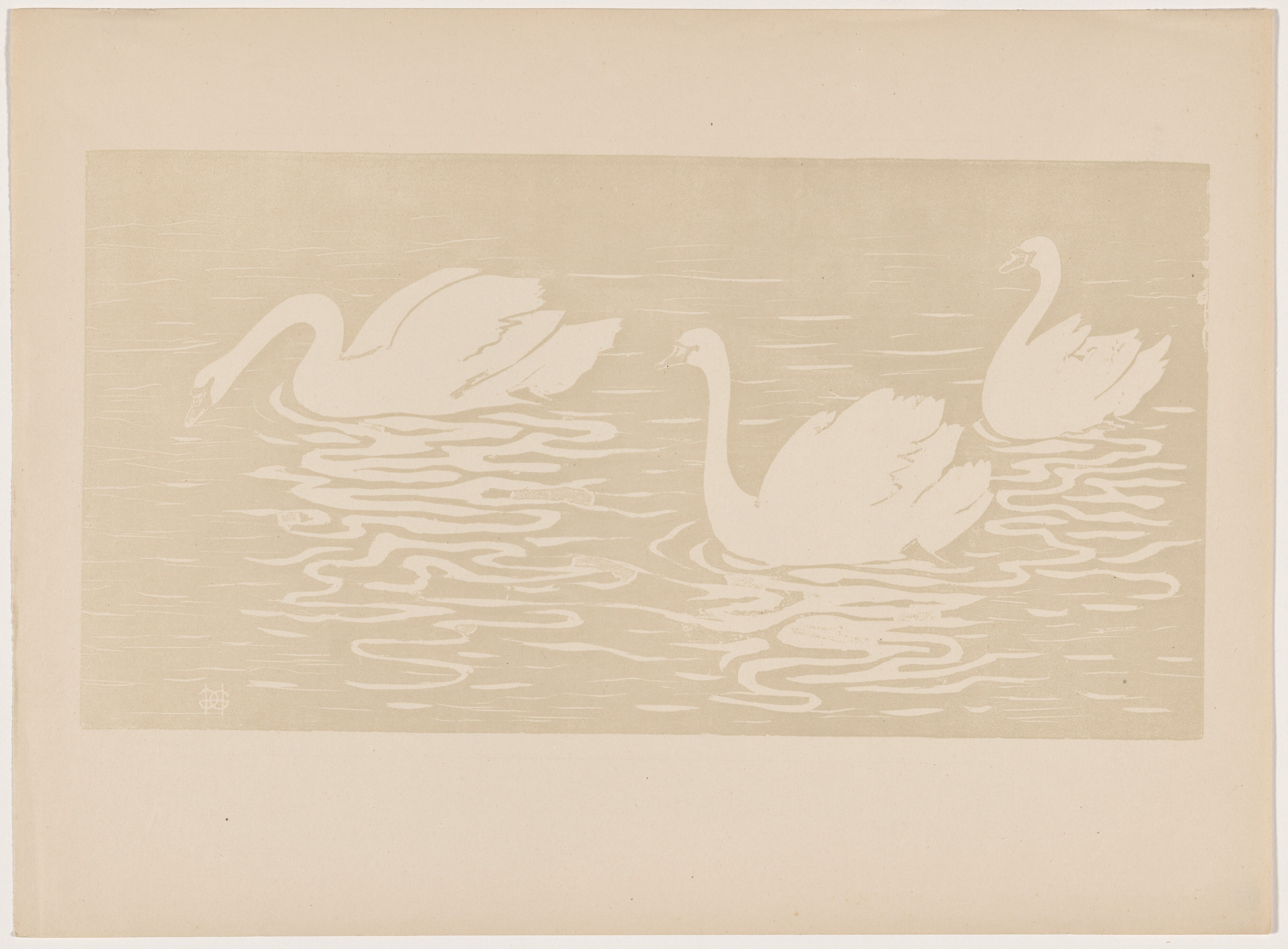 Les cygnes
