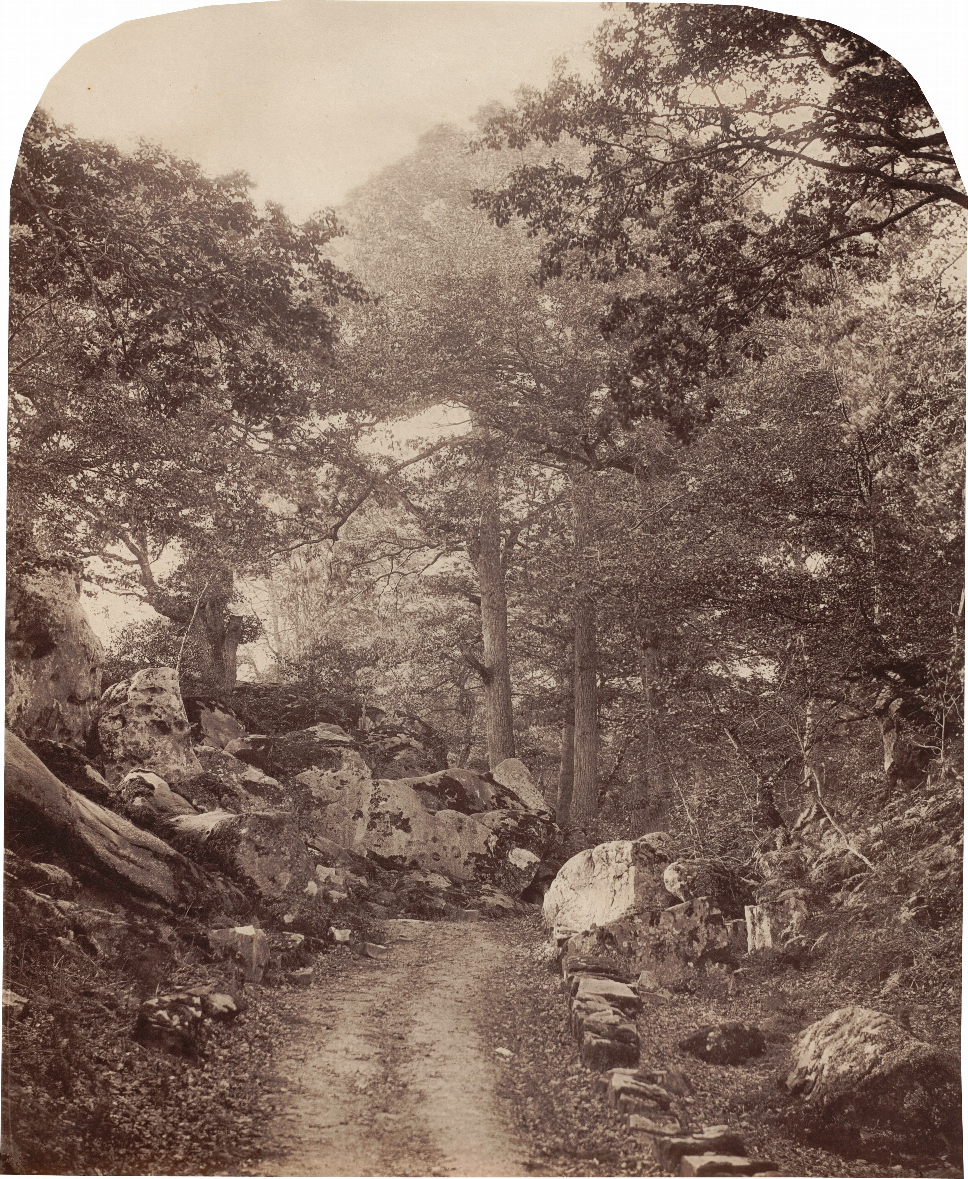 Fontainebleau