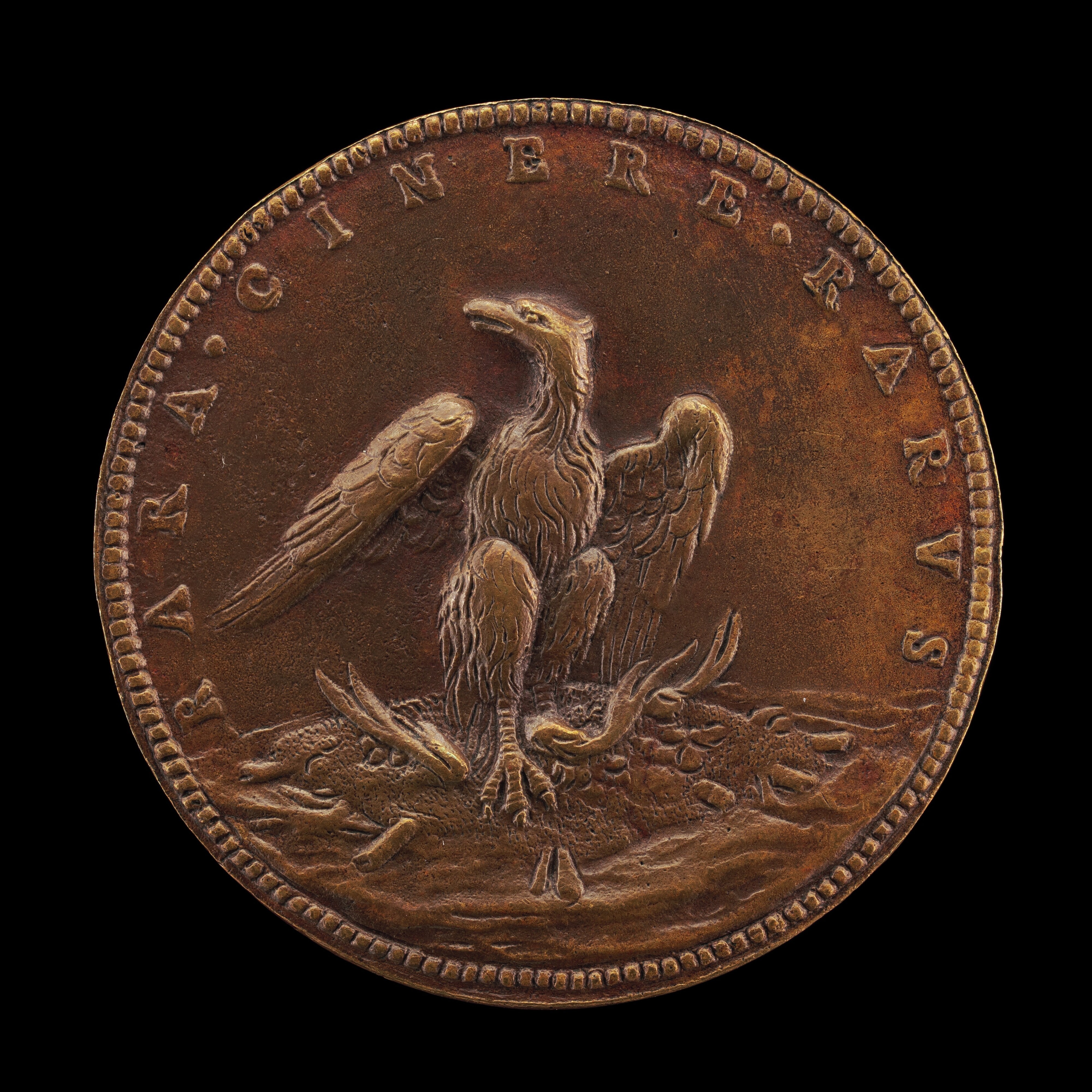 Phoenix [reverse]