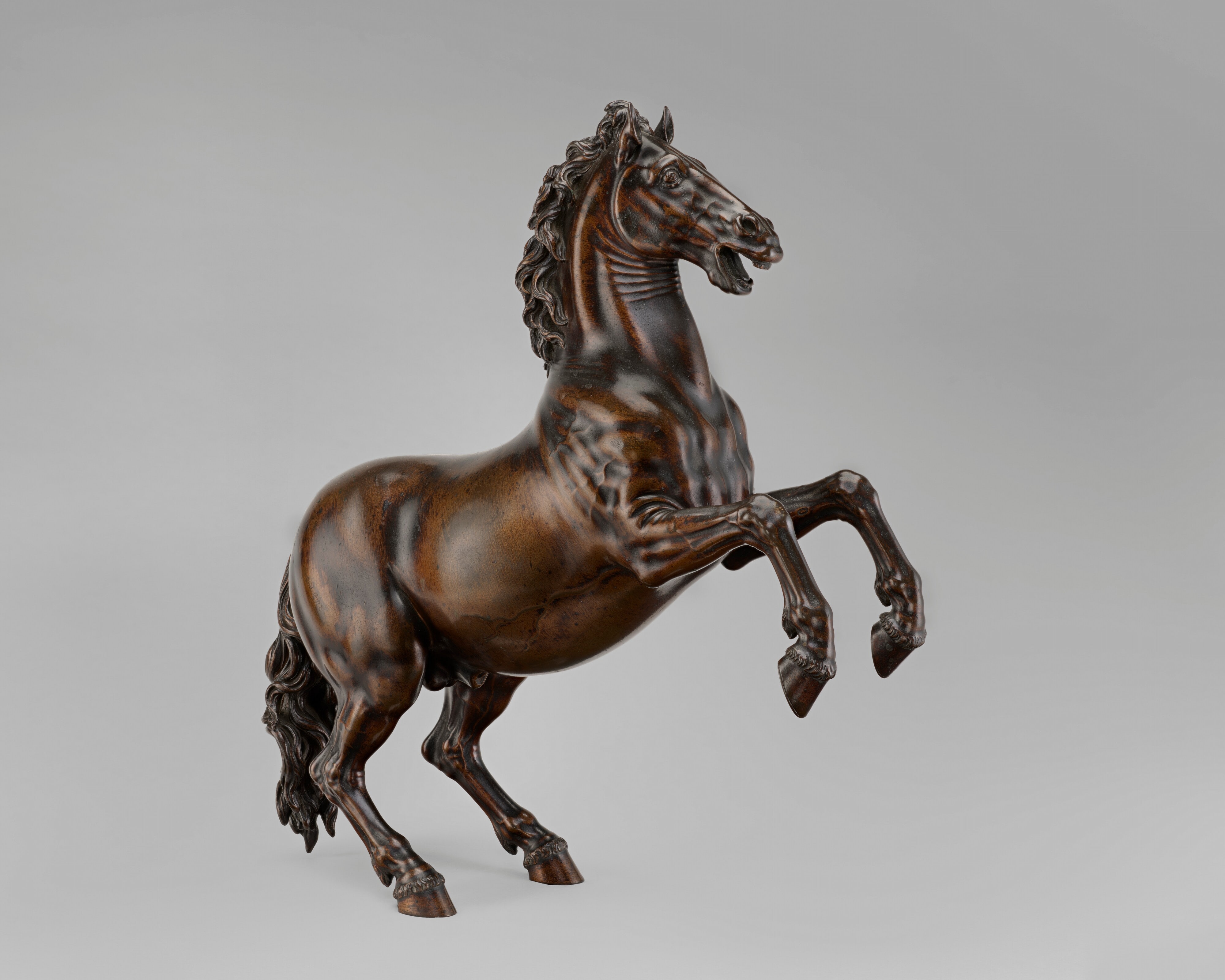 Rearing Stallion