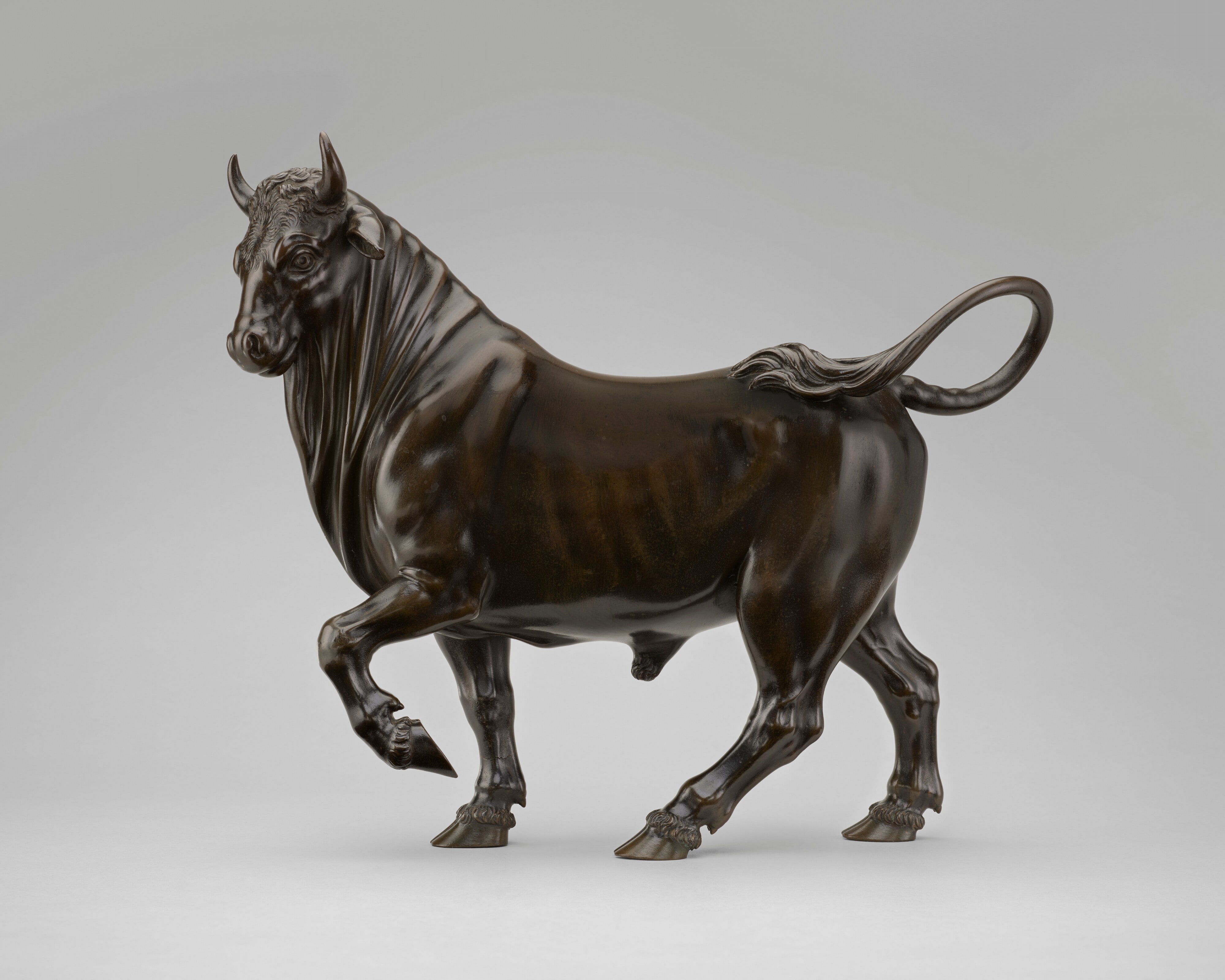 Bull