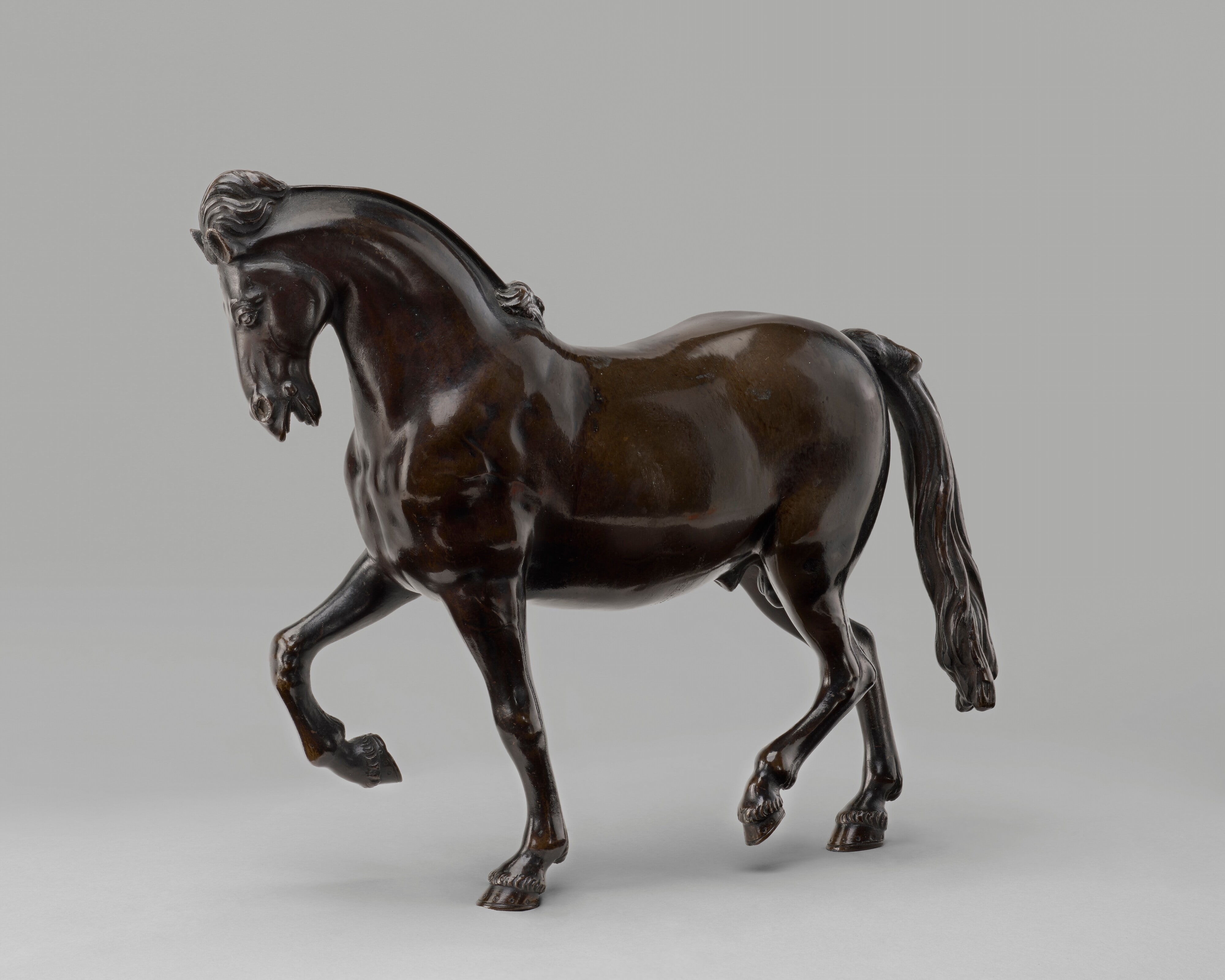Pacing Stallion