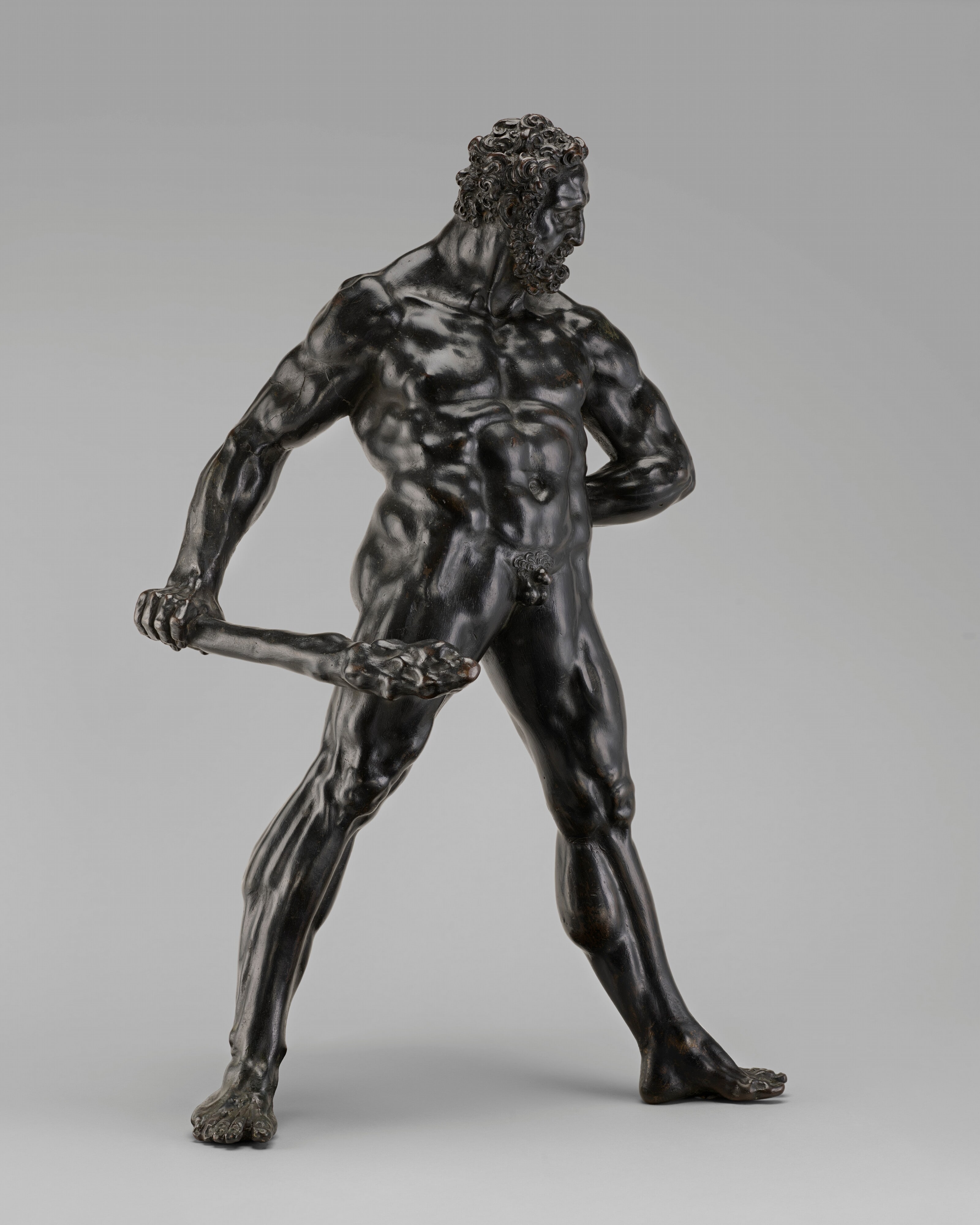 Hercules Pomarius