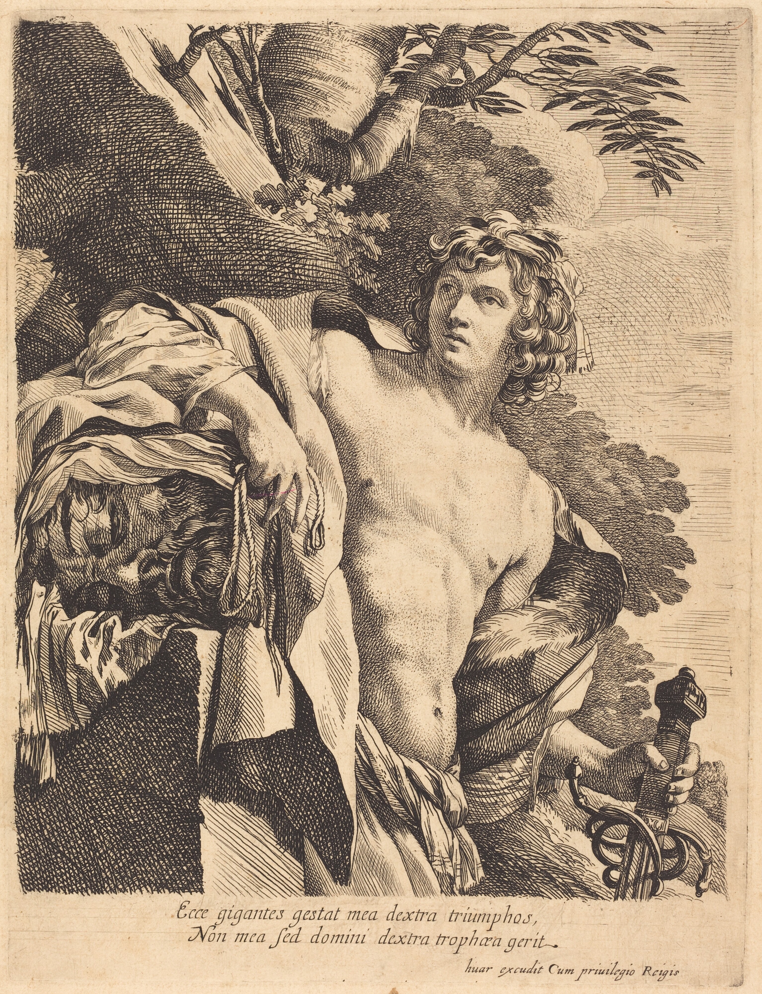 David with the Head of Goliath