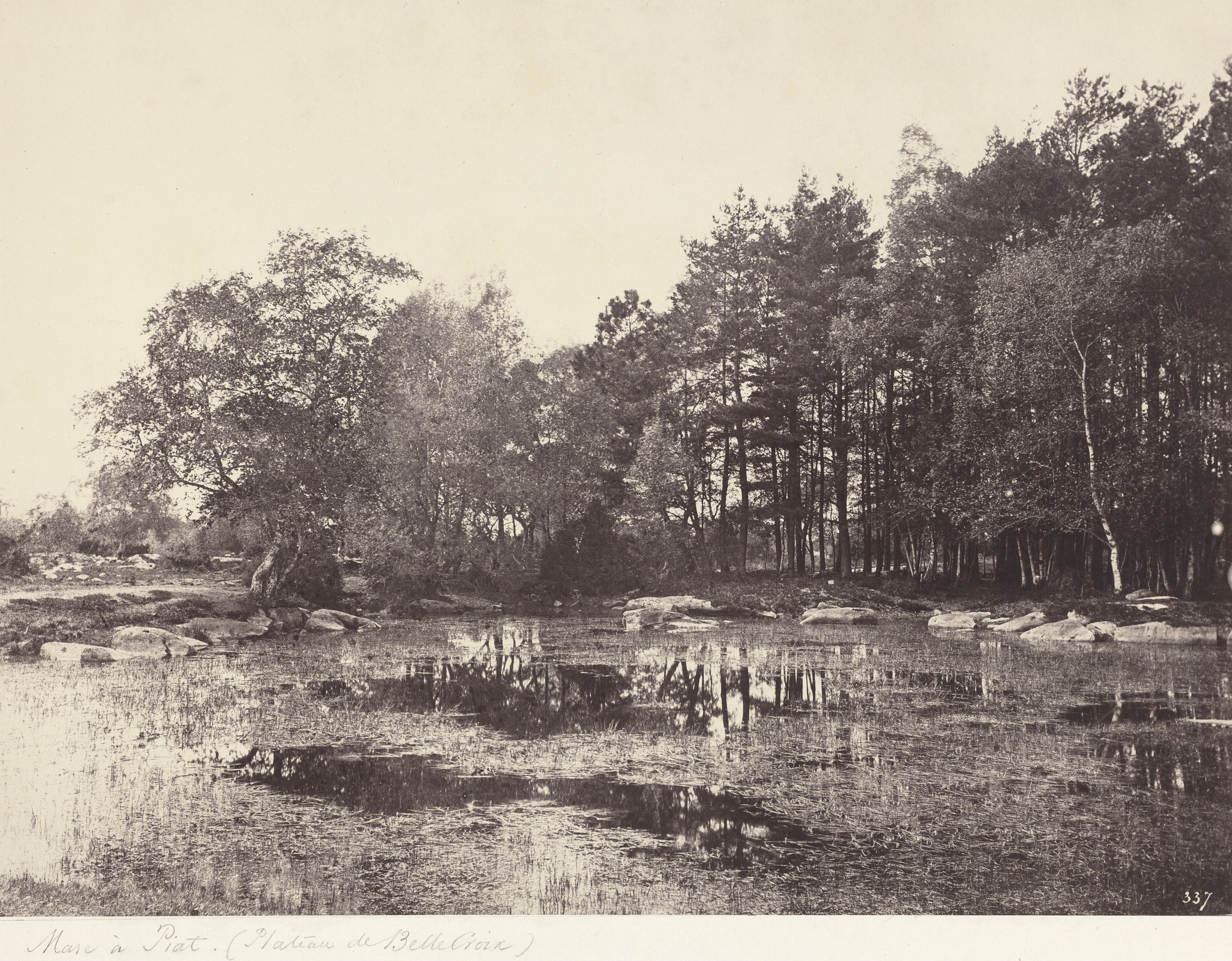 Marsh at Piat (Belle-Croix Plateau)