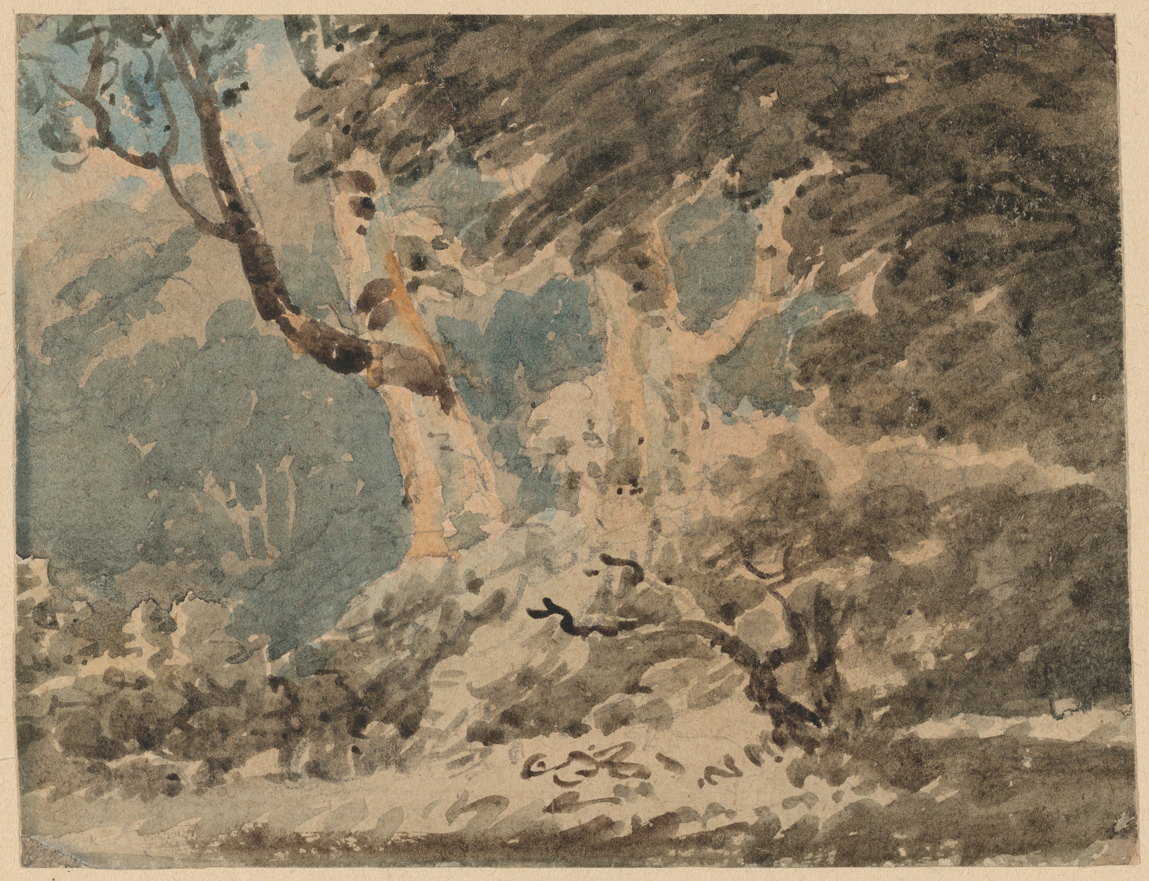 The Edge of a Wood
