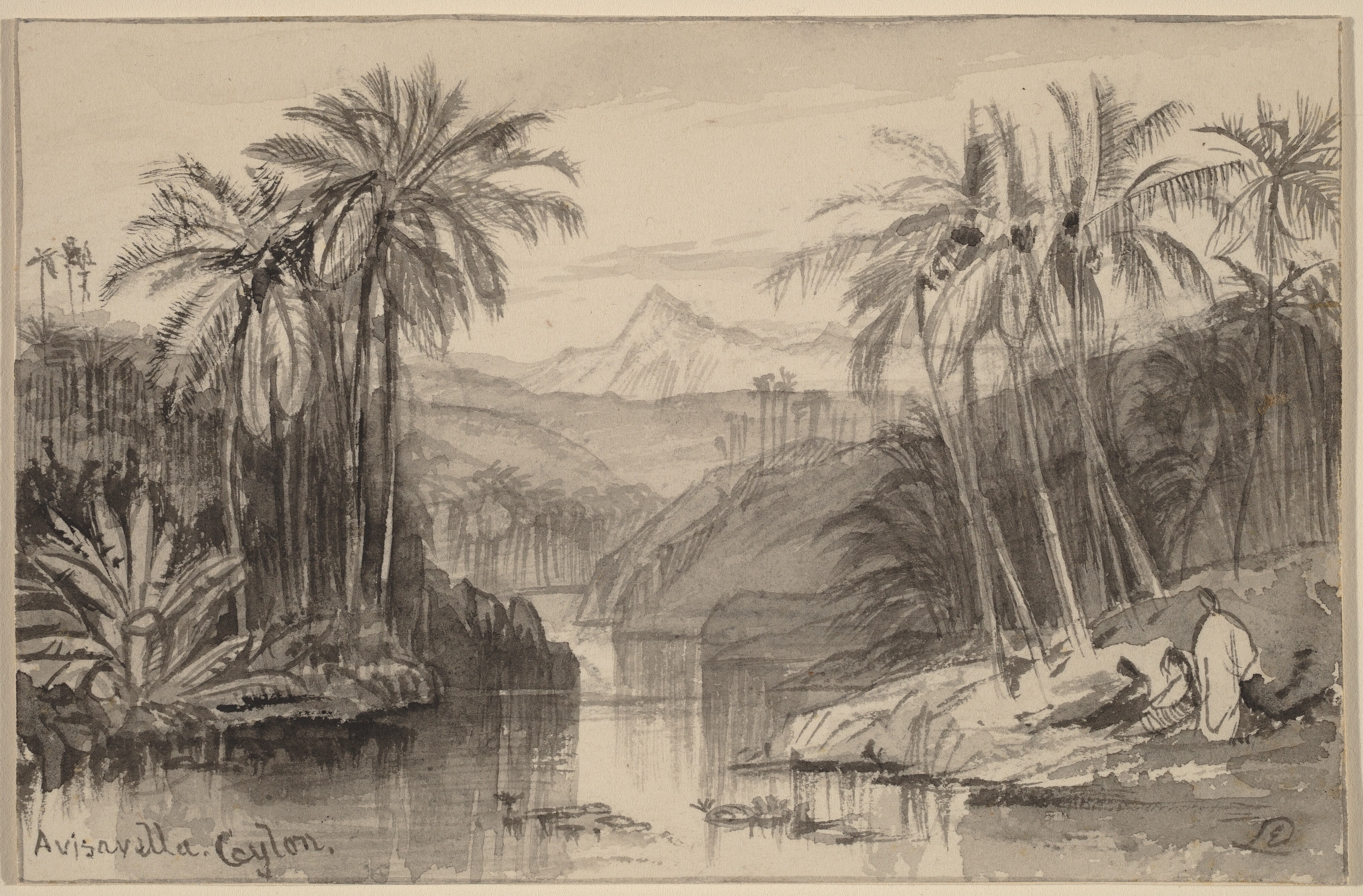 Avisavella, Ceylon