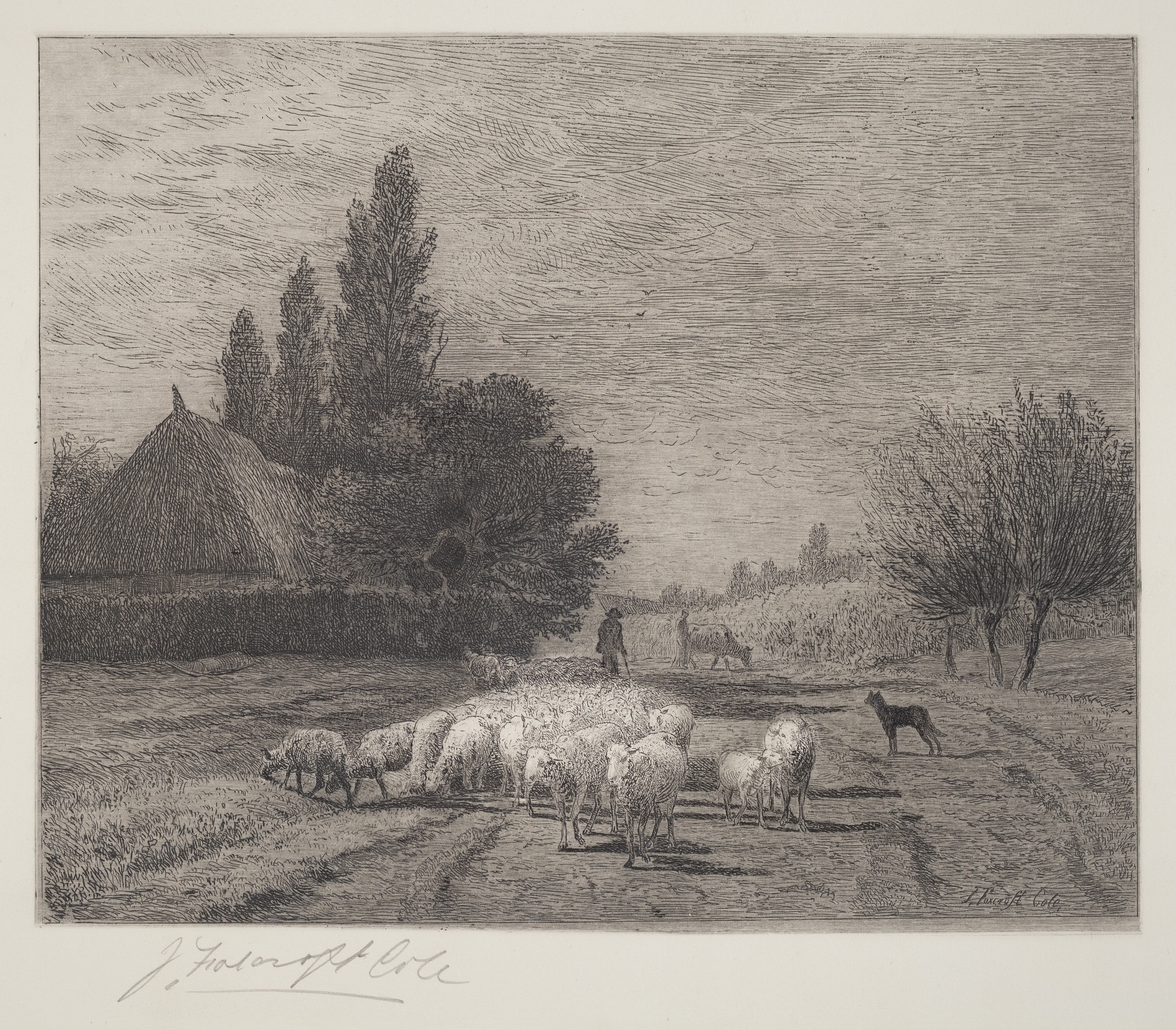 Village Street in France With a Flock of Sheep