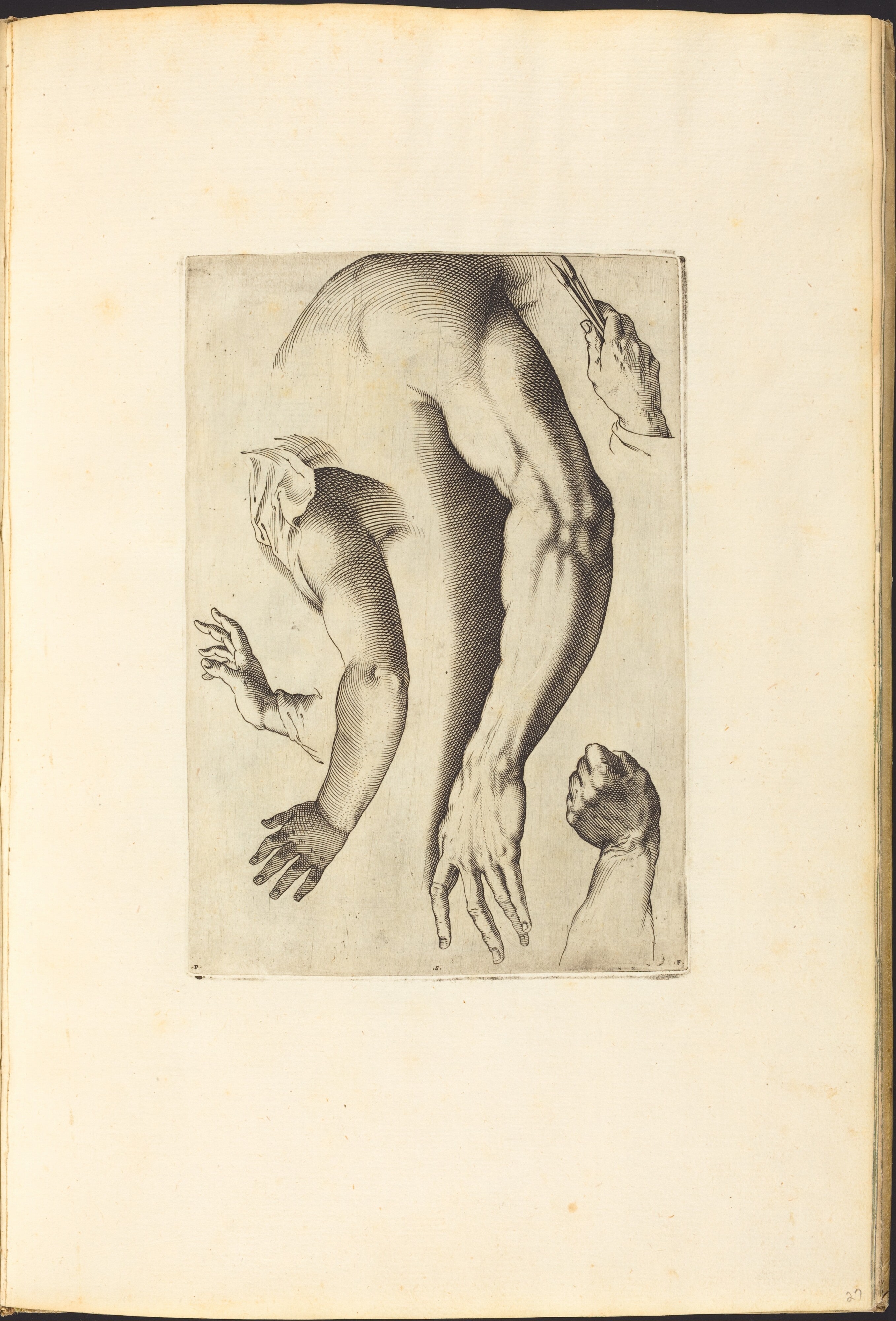 Print from Drawing Book