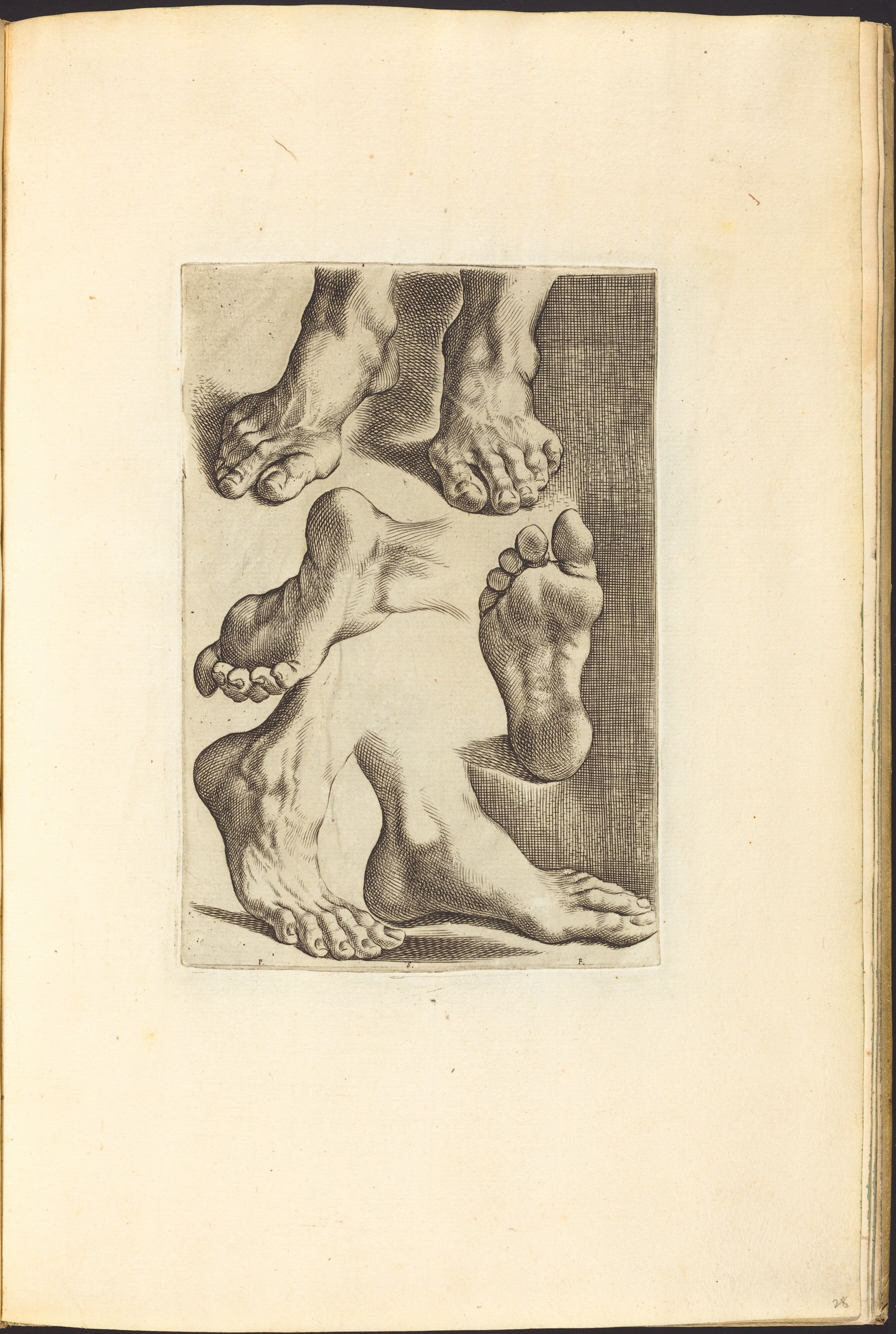 Print from Drawing Book