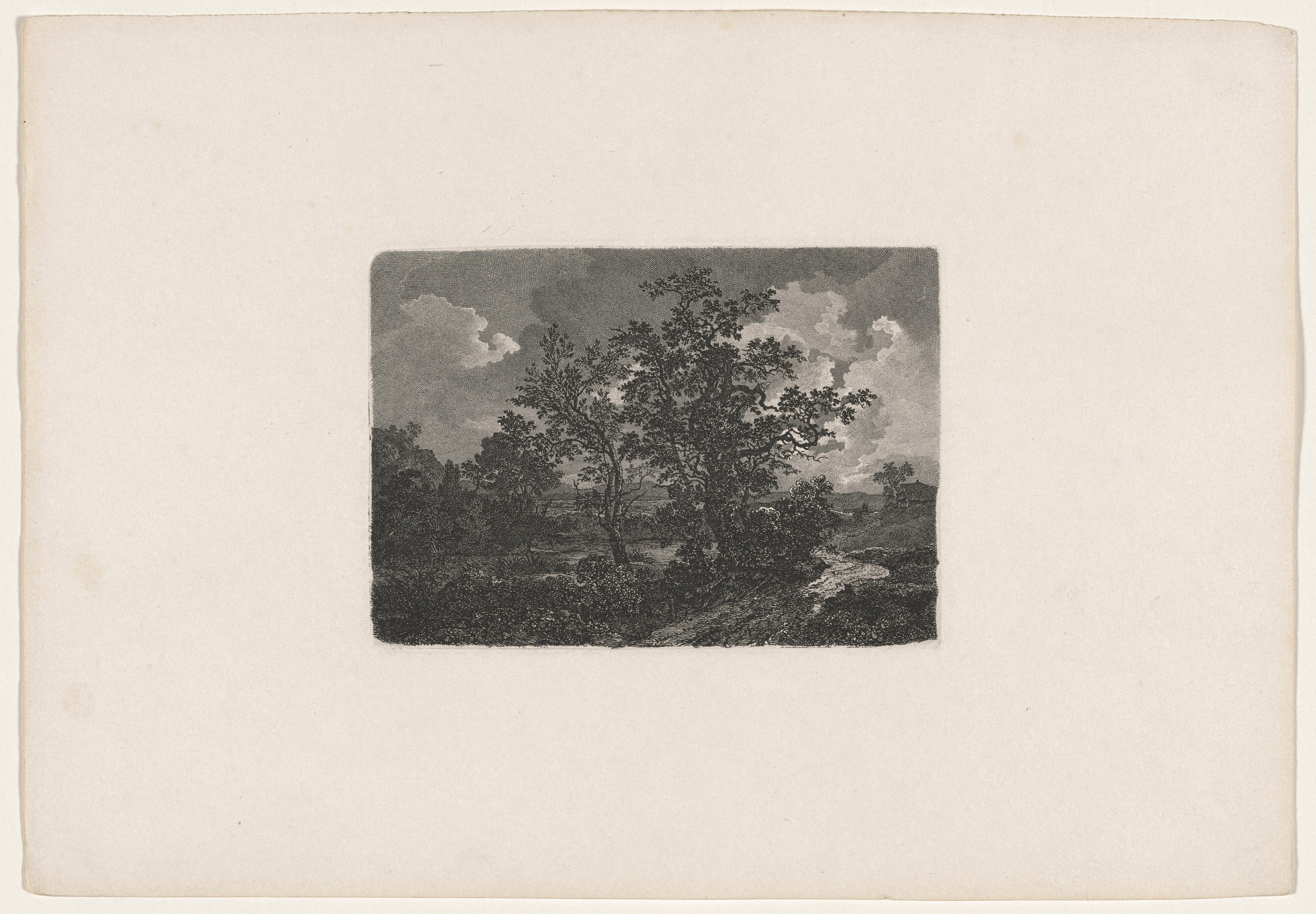 Nocturnal Landscape