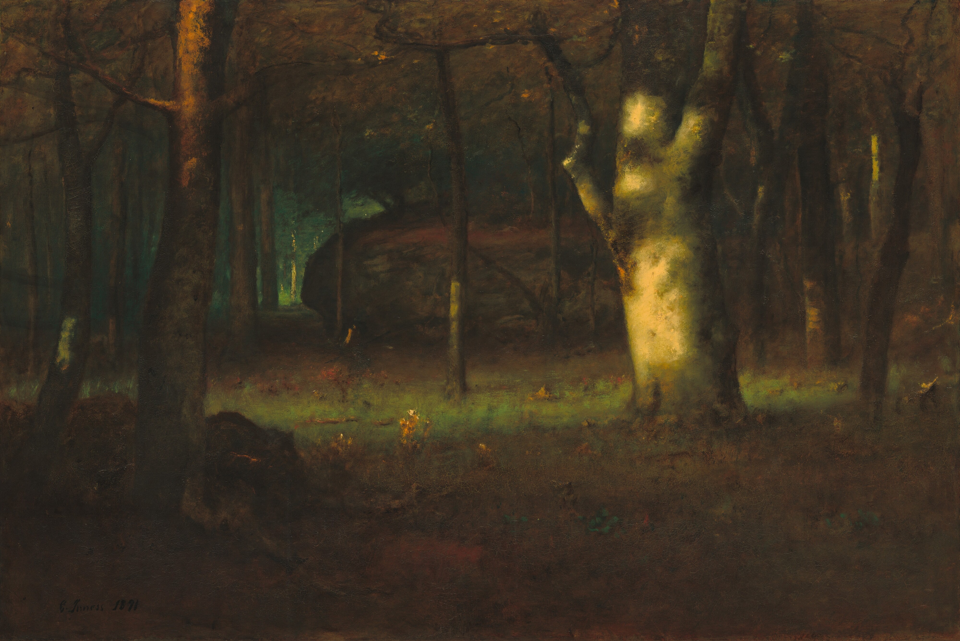 Sunset in the Woods