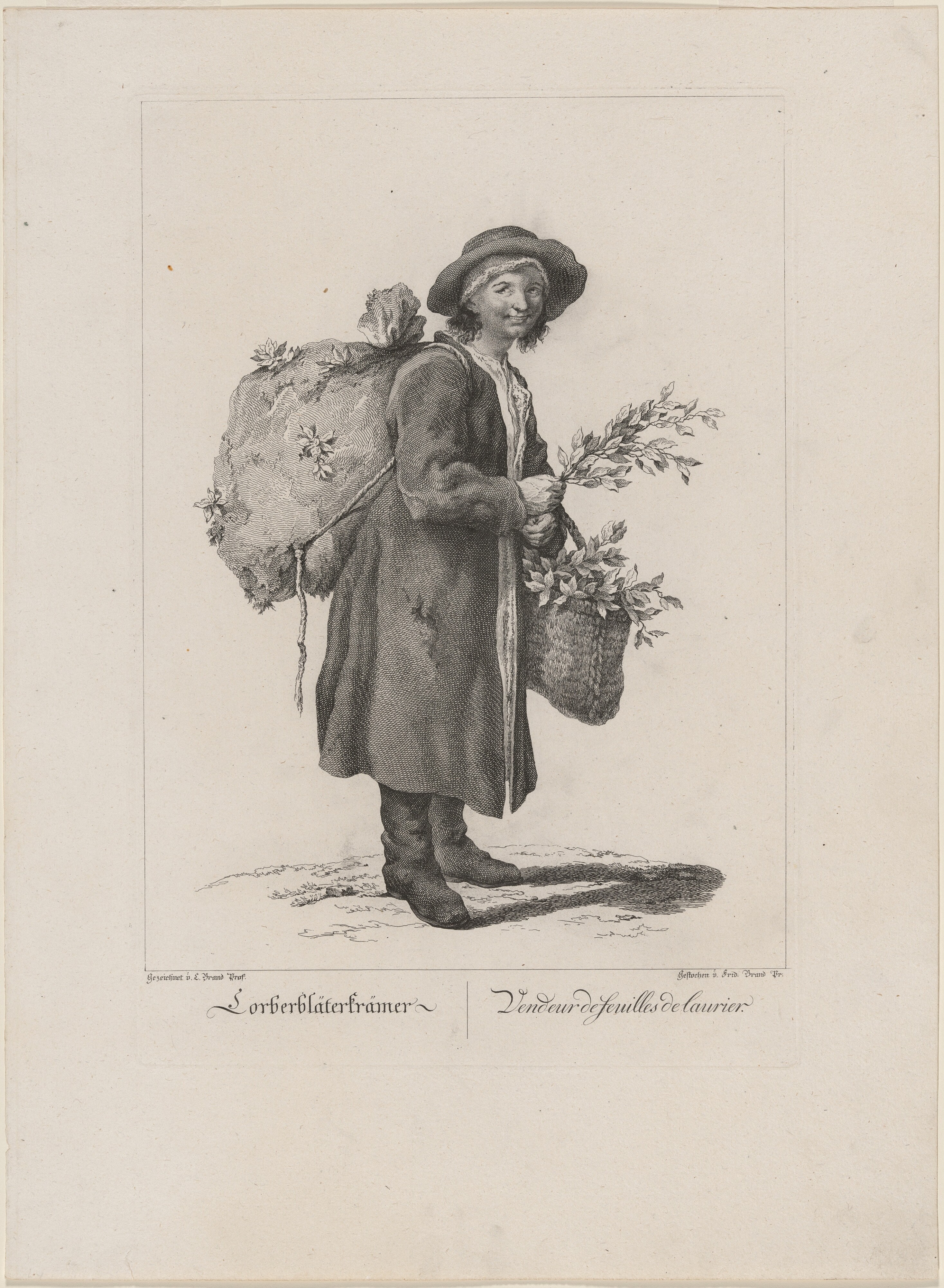 Lorberbläterkrämer (Bay Leaf Seller)