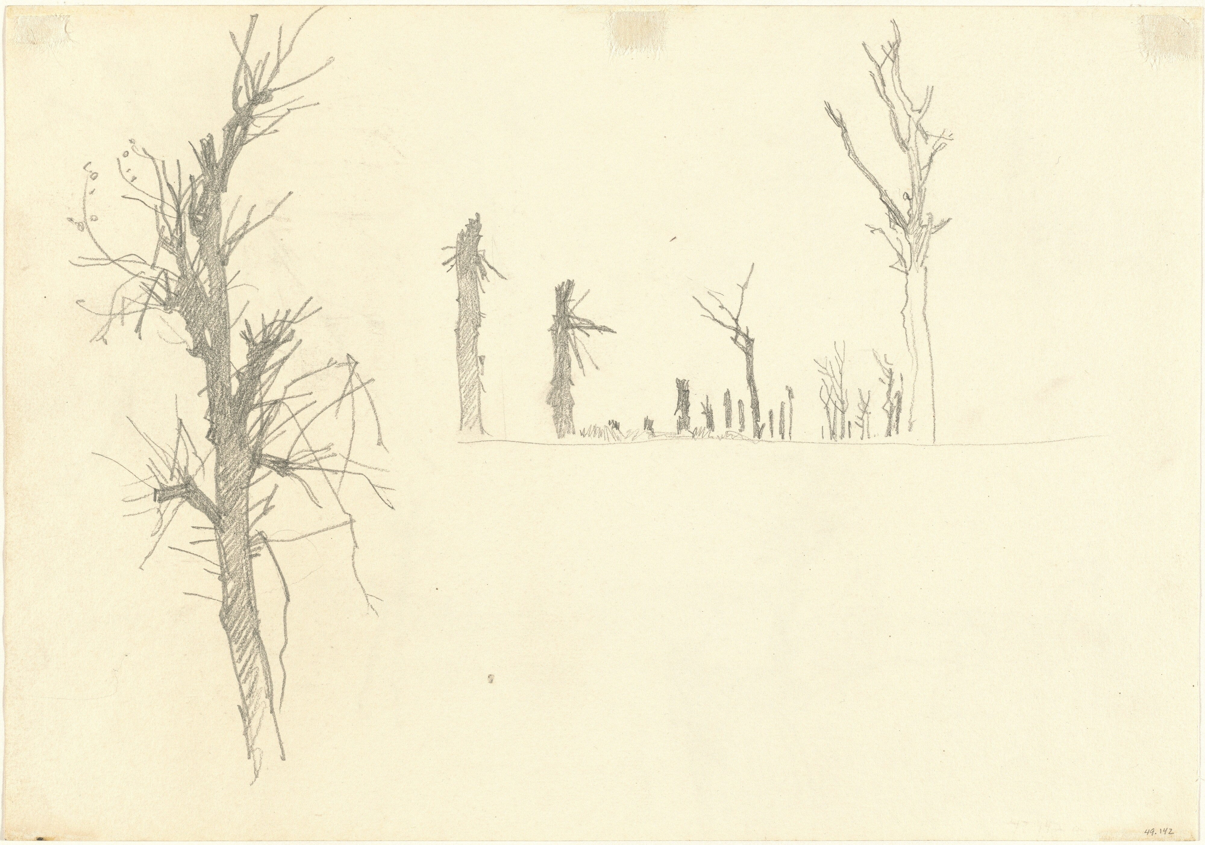 Devastated Trees [verso]