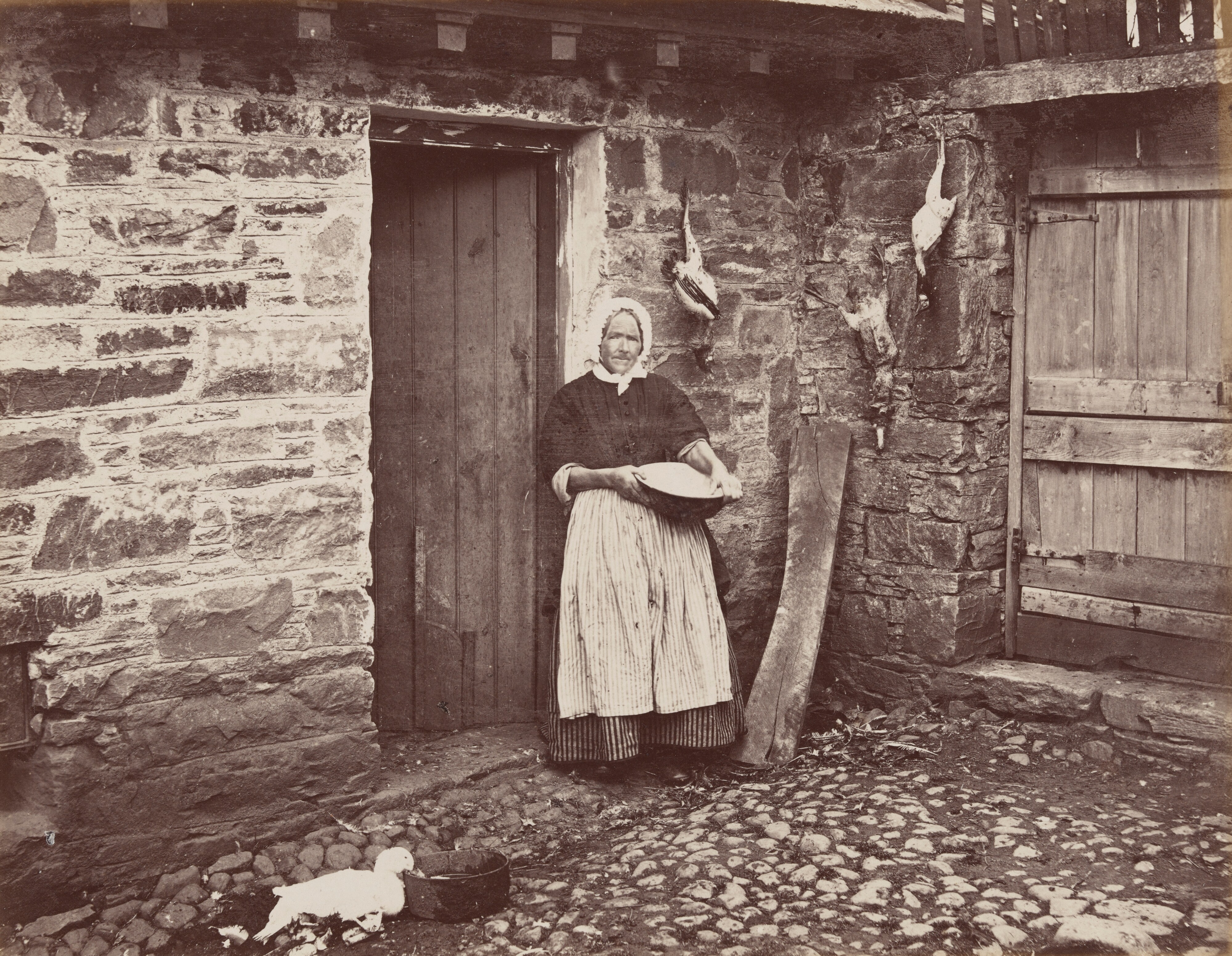 The Hen Wife