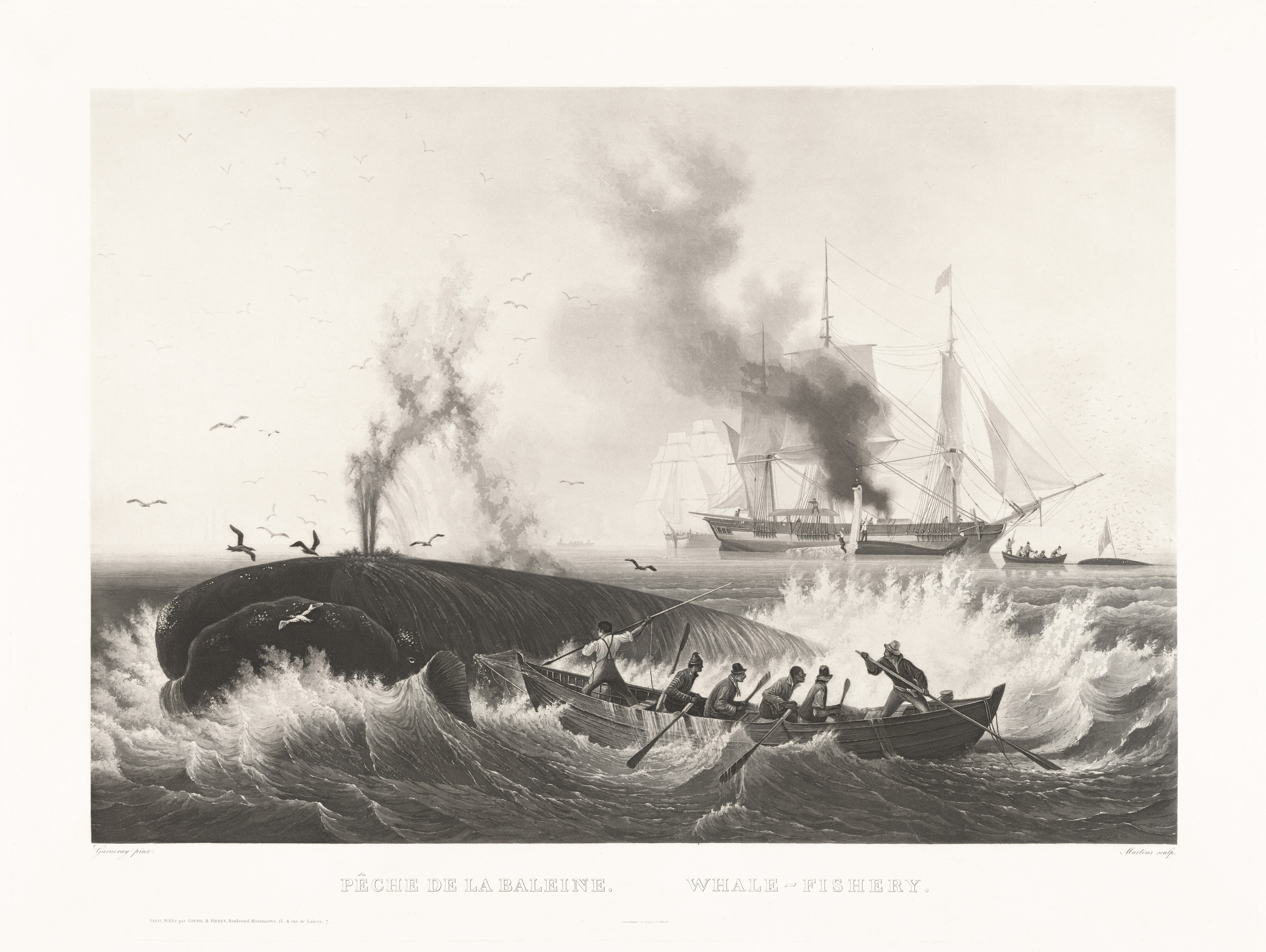 Pêche de la Baleine, Whale-Fishery