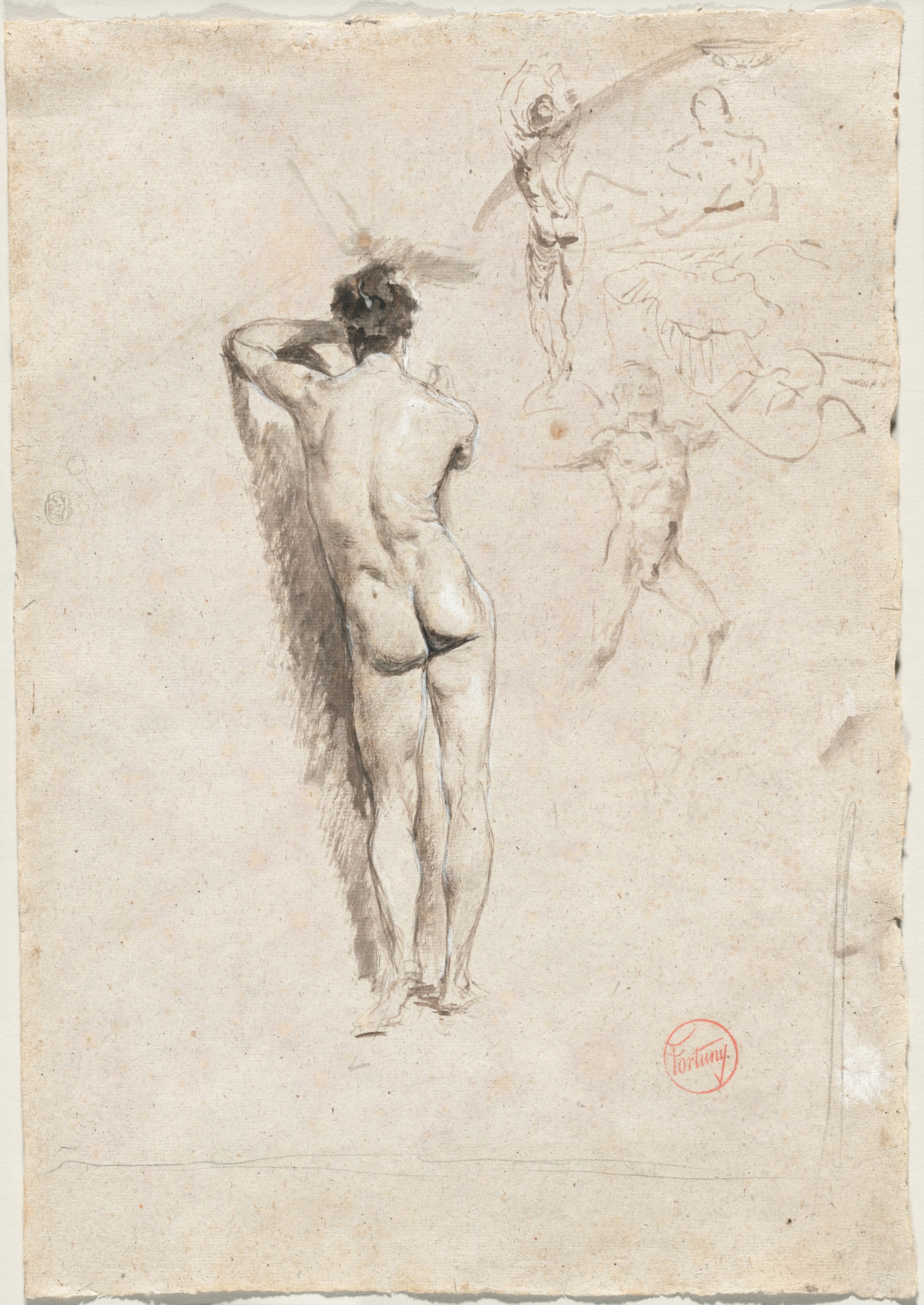 Study of a Male Nude and Other Studies