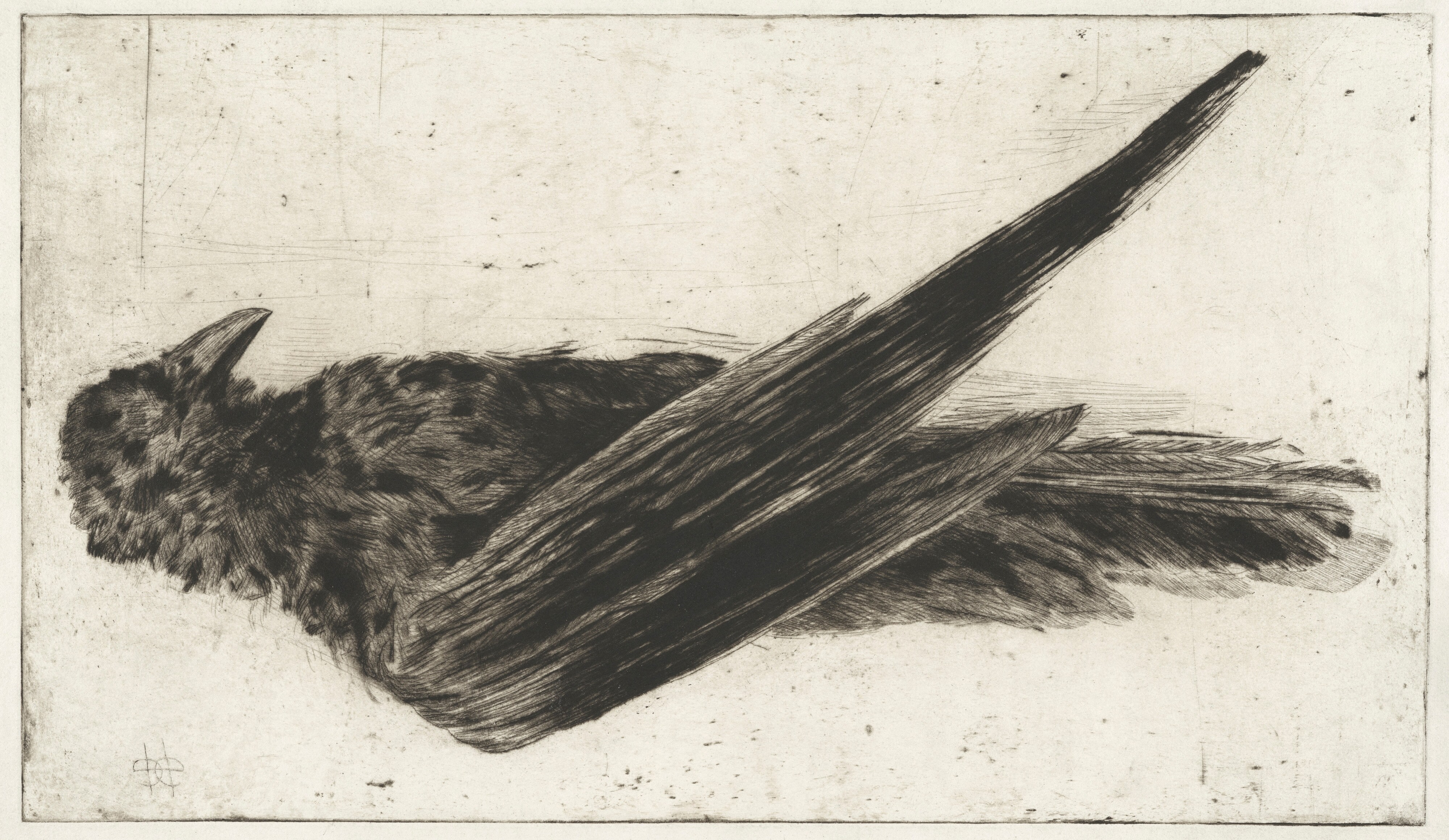 The Large Hanging Raven