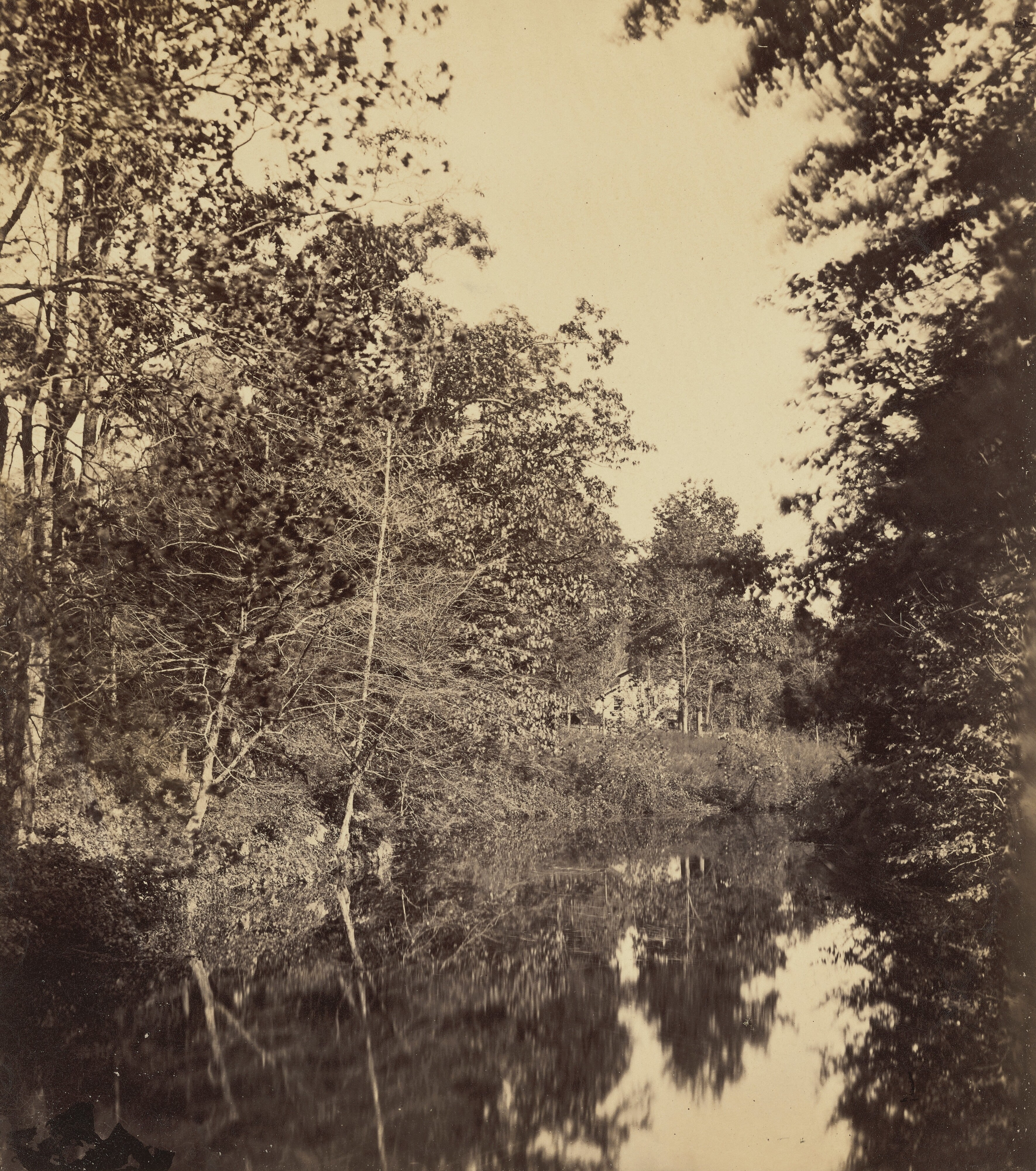 The Dell