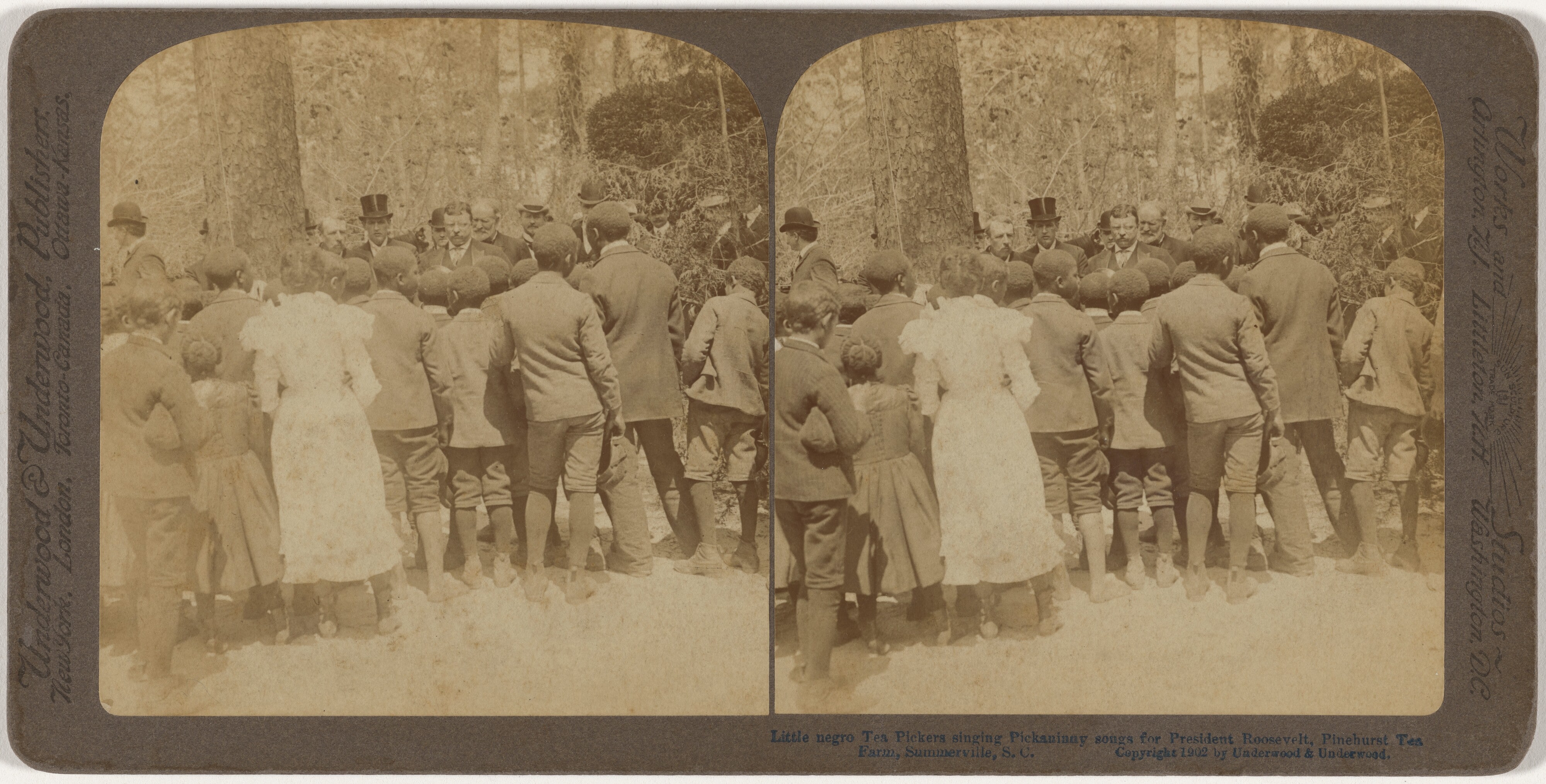 Singing for President Roosevelt, Pinehurst Tea Farm, Summerville, South Carolina