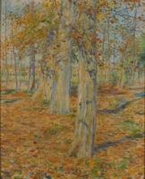 Dead Leaves
