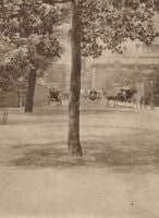The Mall