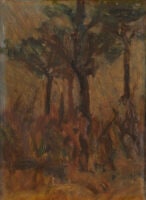 Pine Trees