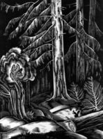 Forest and Squirrel