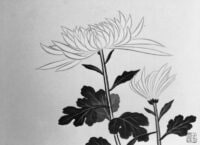 Album of Paintings 1