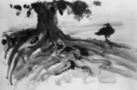 Roots