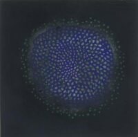Untitled (16)