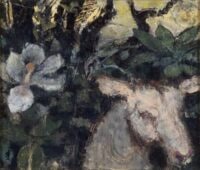 A Goat and a Magnolia