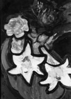 Lilies