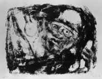 Moth (from the Series Sakuma Dam)