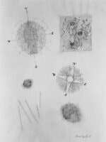 Compass No.6