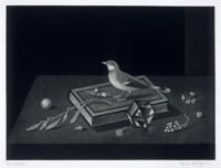 Bird on a Book