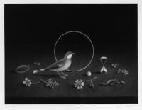 Still Life Time
