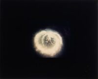 Manhattan in Pinhole [6]