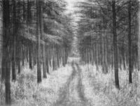 Homage to the Forest I
