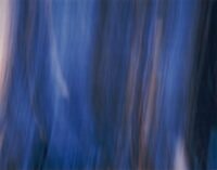 Inter Lucem 02-5-16-4