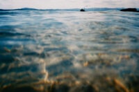 half awake and half asleep in the water NOTOJIMA