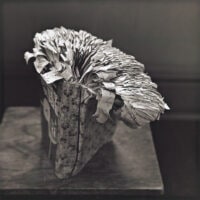 Bibliotheca [#34]