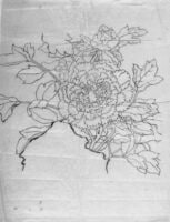 Peonies