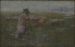 Sheep-Breeding
