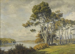 Trees on the River